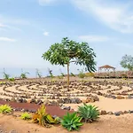 Lejlighed Tenerife Healing Garden