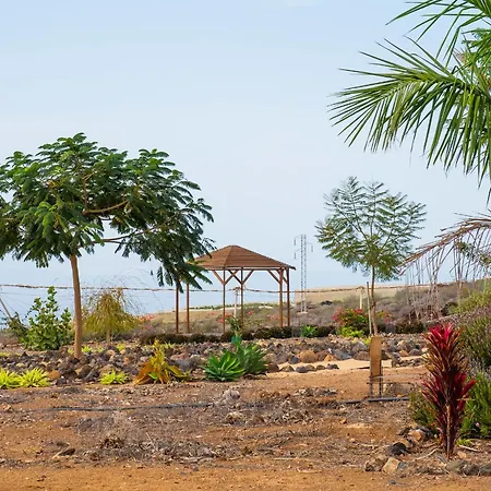 Tenerife Healing Garden Apartment *