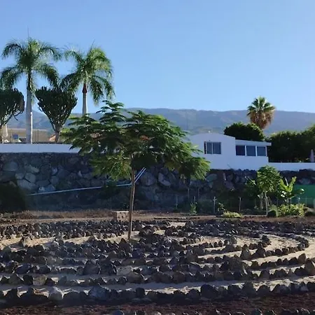 公寓 Tenerife Healing Garden 吉亚德索拉